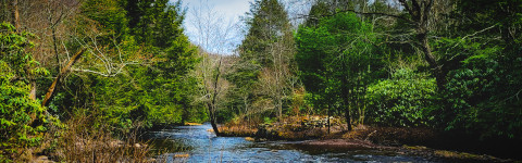 Hawk Falls Trail