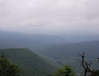 View From Lookout