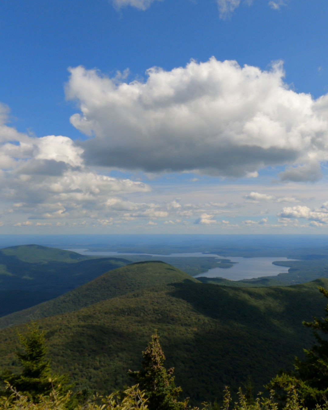 Wittenberg Mountain Summit