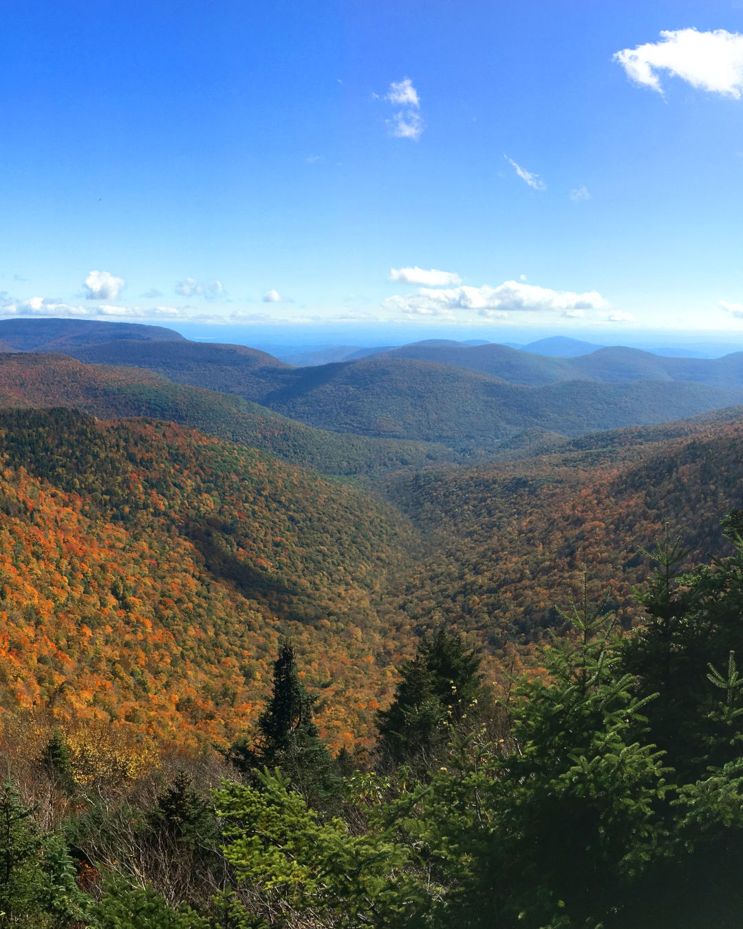 Buck Ridge Lookout